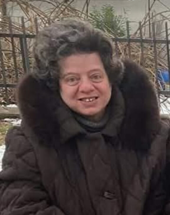 paludi