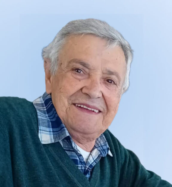 PINI CARLO EMILIO vn