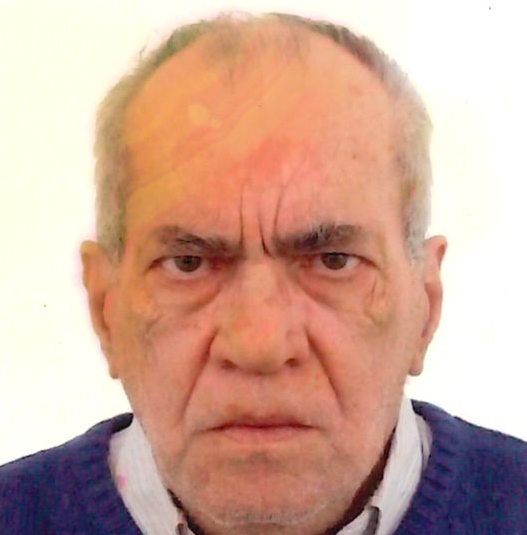 castiglioni fiorenzo varesenews